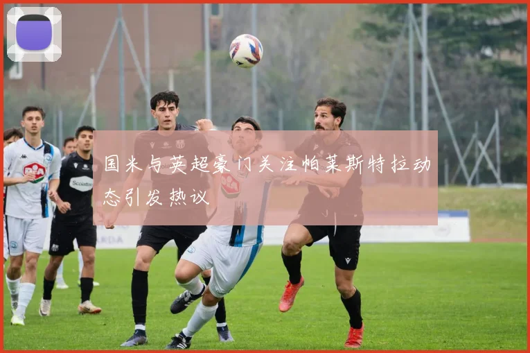 国米与英超豪门关注帕莱斯特拉动态引发热议